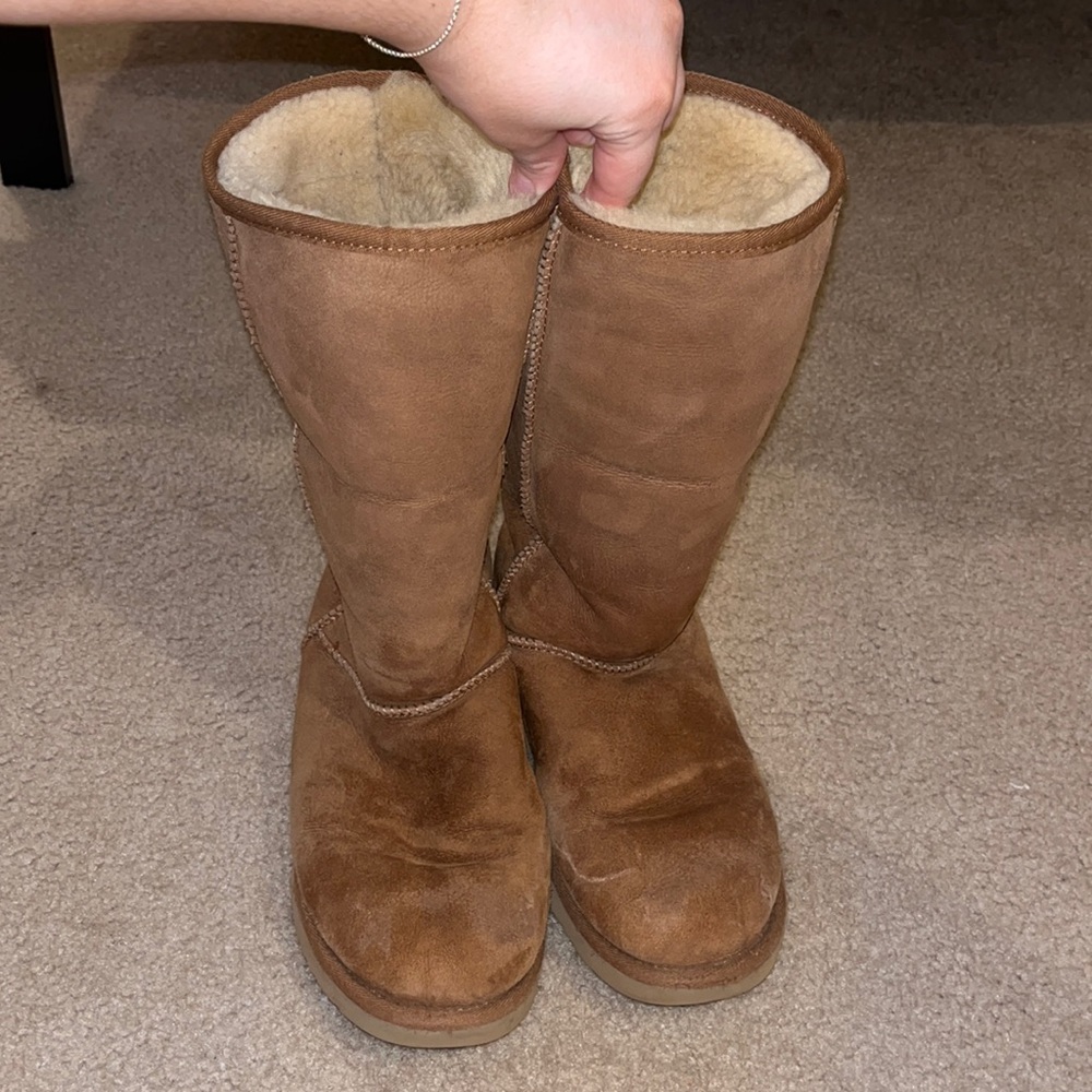 Tall Chestnut Uggs